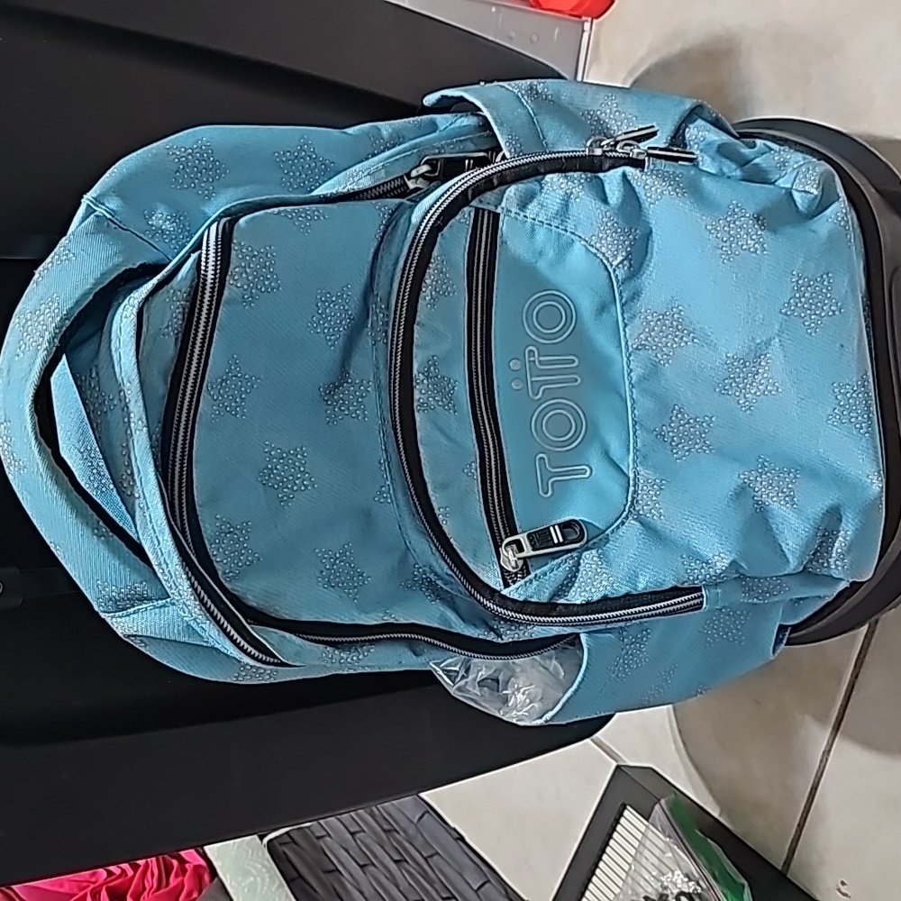 Toto rolling backpack